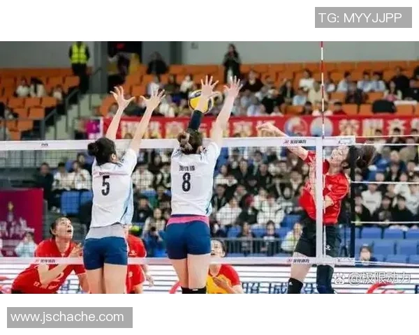 赛后分析:上海排球队与北京排球队实力对比及比赛亮点解读